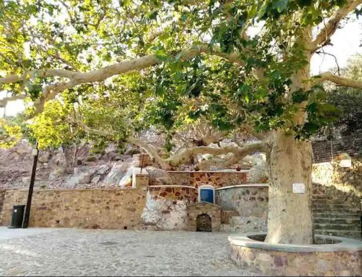 Villa Konstantina Skalia Bagian luar foto
